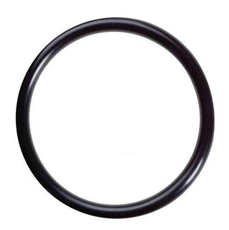 Godwin Seal Face O-Ring (CD80M, CD100M, CD103M, CD150M, CD200M, HL80M)