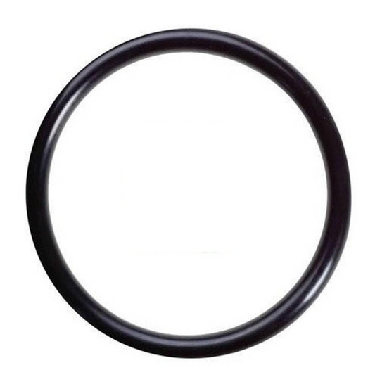 Godwin Rear Wearplate O-Ring (CD80M, CD100M, CD103M, CD150M, CD200M, HL80M)